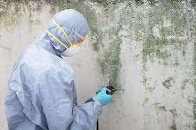 Best Biohazard Mold Removal  in Newtown, PA